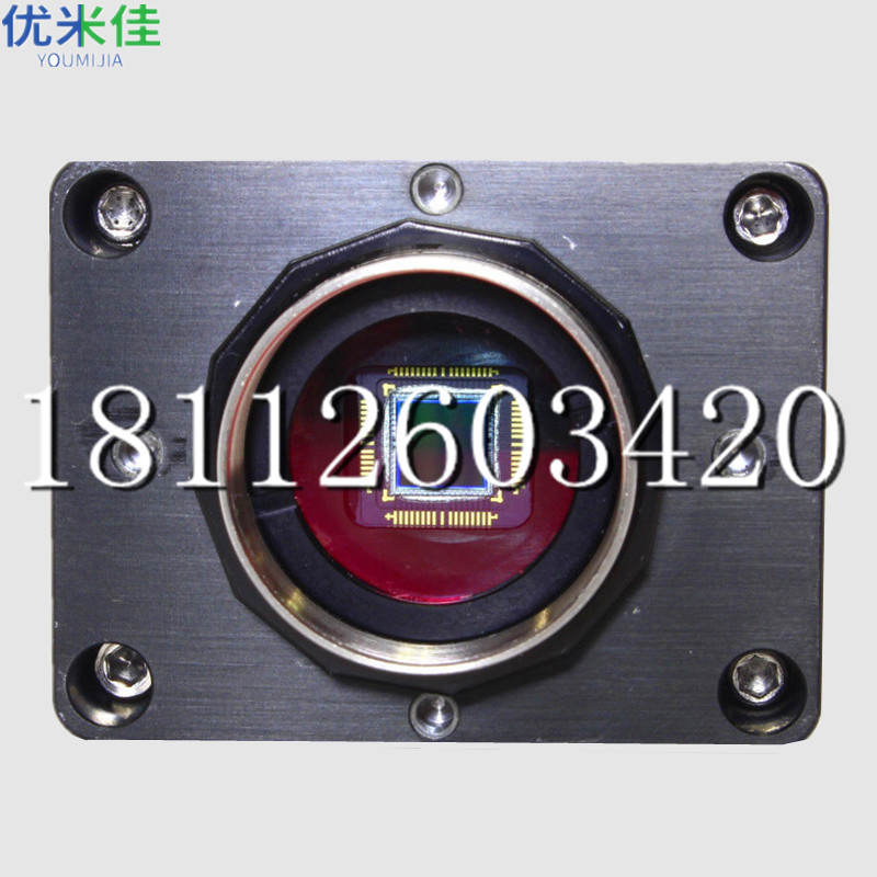丽水AVT Dolphin工业相机维修