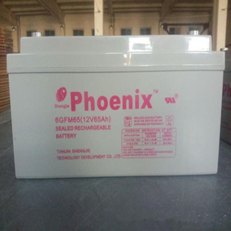 Phoenix凤凰蓄电池KE12120012V120Ah阀控铅酸蓄电池