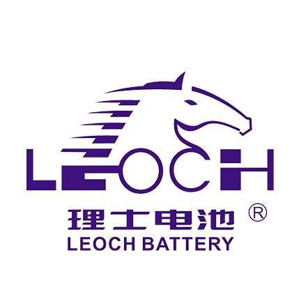 理士LEOCH蓄电池DJM1238 12V38AH现货