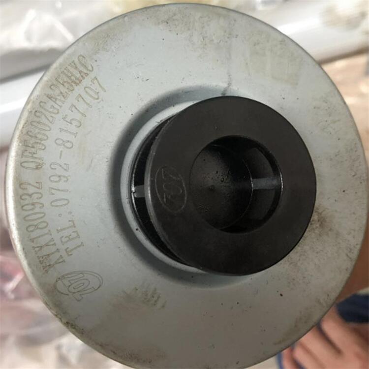 吉林QF1D145EG10H1.0C东汽给水泵小机滤芯，进口滤材