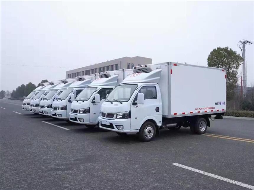 牡丹江市小型冰柜车_小型冰柜车