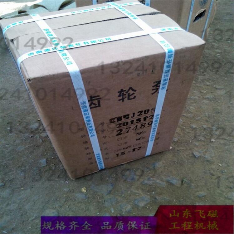 龙工机械 专用液压齿轮泵CBGJ3100济南液压泵厂