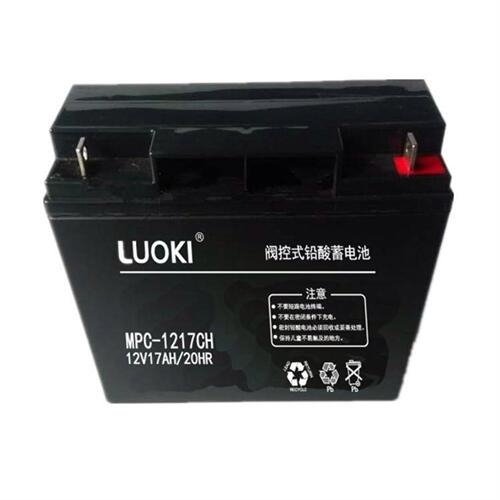 LUOKI洛奇MPC12-40/12V40AH蓄电池铅酸蓄电池