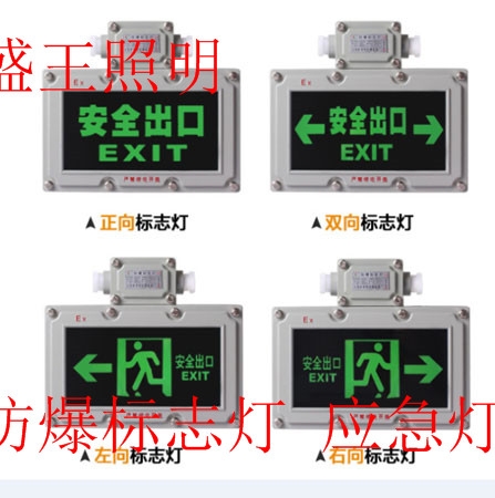 防爆疏散指示灯DGB3700