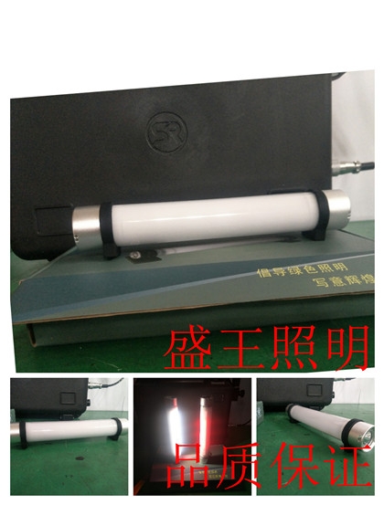 J2031D J2031D防爆投射灯