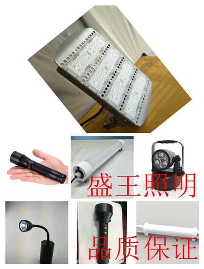 防爆工厂灯BPC8720 BPC8720