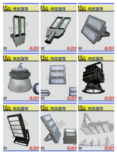防爆投光灯BF830