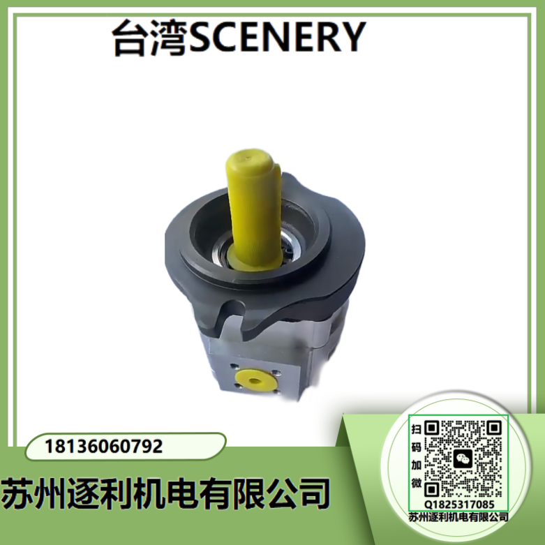 双联叶片泵 SCENERY液压油泵S4535V60/35A-1/86CCAABBD-22R