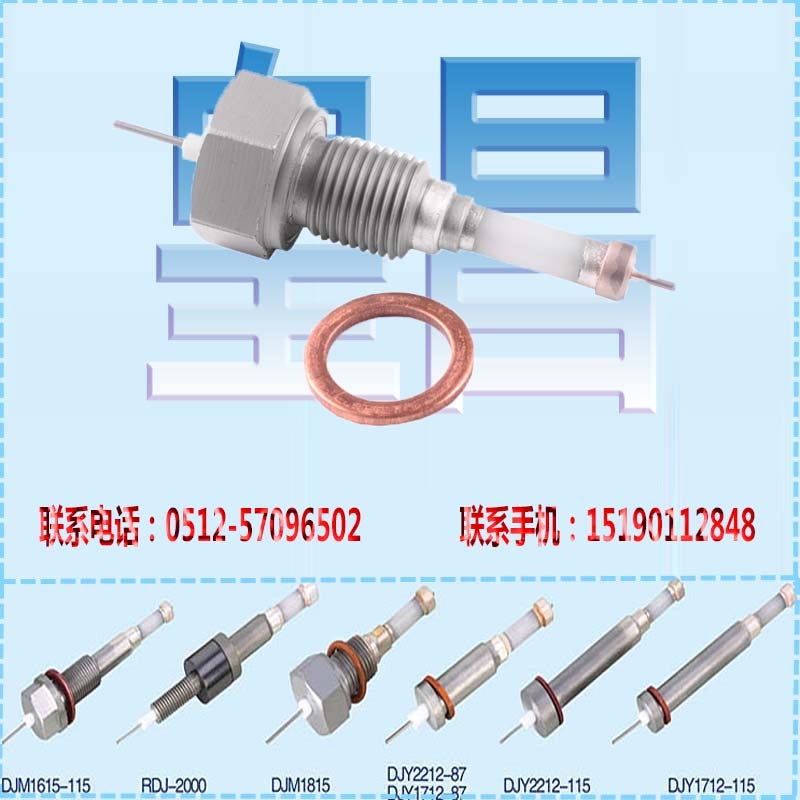 KSHC液位电极台湾台南锅炉电极规格M18×1.5×115mm