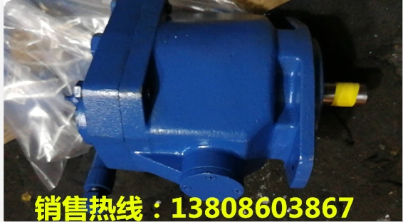 雙聯(lián)葉片泵T6ED-062-031-1R01-B1