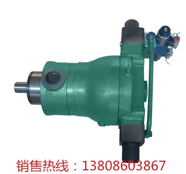 BUCHERRKVE-25-G-1單向閥轉向器