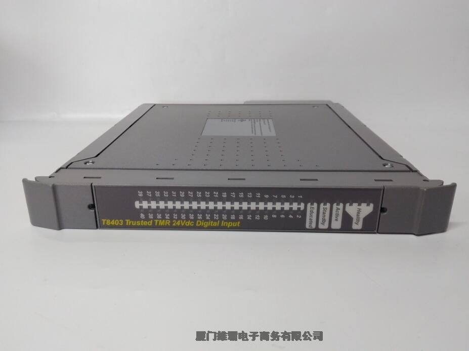 ICSTRIPLEX T8160C 模块卡件进口备件